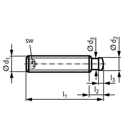 Gewindestift DIN 6332 mit Druckzapfen Ausführung IS mit Innensechskant Gewinde M16 Gesamtlänge 80mm Stahl 5.8 brüniert, Technische Zeichnung