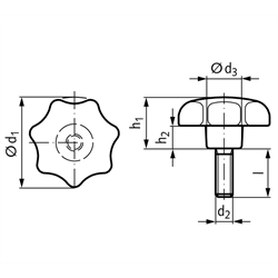 Sterngriffschraube ähnlich DIN 6336 Ausführung ST Ø63mm M12 x 60 , Technische Zeichnung