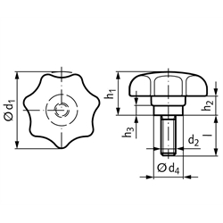 Sterngriffschraube ähnlich DIN 6336 Ausführung TE Ø32mm M6 x 20 , Technische Zeichnung