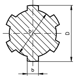 Keilwelle ähnlich DIN ISO 14 Profil KW 21x25 x 2000mm lang Stahl C45, Technische Zeichnung