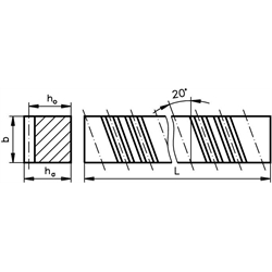 Schrägverzahnte Zahnstange aus Ms 58 Modul 0,5 Breite 10mm Höhe 4mm Länge 250mm 20° linkssteigend , Technische Zeichnung