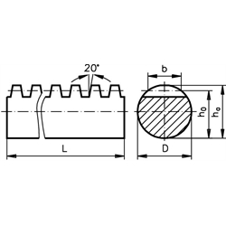 Rundzahnstange aus Stahl St50K Modul 2,5 Durchmesser 25mm h6 Länge 250mm, Technische Zeichnung