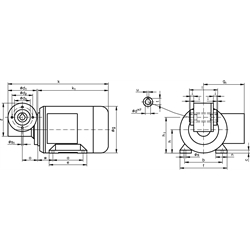 Schneckengetriebemotor MH mit Hohlwelle 180 Watt 230/400V 50Hz IE2 i=38:1 Abtriebsdrehzahl ca. 37 /min zulässiges Md2=17Nm (Betriebsanleitung im Internet unter www.maedler.de im Bereich Downloads), Technische Zeichnung