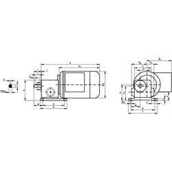 Schneckengetriebemotor RL 120 Watt 230/400V 50Hz IE2 i=70:1 Abtriebsdrehzahl ca. 40 /min zulässiges Md2=7,1Nm (Betriebsanleitung im Internet unter www.maedler.de im Bereich Downloads), Technische Zeichnung