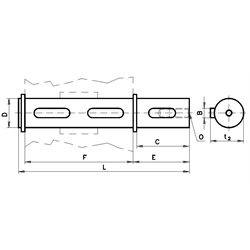 Abtriebswelle einseitig für Schneckengetriebemotor HMD/I und HMD/II Getriebegröße 045 Durchmesser 18mm Gesamtlänge 113mm, Technische Zeichnung