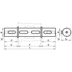 Abtriebswelle beidseitig für Schneckengetriebemotor HMD/I und HMD/II Getriebegröße 063 Durchmesser 25mm Gesamtlänge 246,4mm, Technische Zeichnung