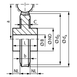 Schneckenrad aus Bronze Modul 1,5 20 Zähne 2-gängig rechts , Technische Zeichnung