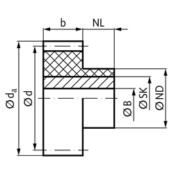 Stirnzahnrad aus Kunststoff PA12G weiß (naturfarben) mit rostfreiem Stahlkern aus 1.4305 Modul 2 48 Zähne Zahnbreite 20mm Außendurchmesser 100mm, Technische Zeichnung